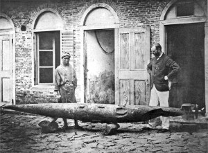 Robert_Whitehead_with_battered_test_torpedo_Fiume_c1875