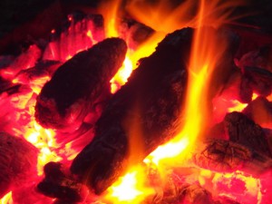 有機物の炎の成分：炭素と水素が生み出す強い熱と鮮やかな光　－火のしくみ（２）