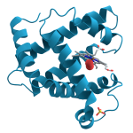 酵素とは？化学反応を自在に制御する生物界の職人－酵素のしくみ（１）